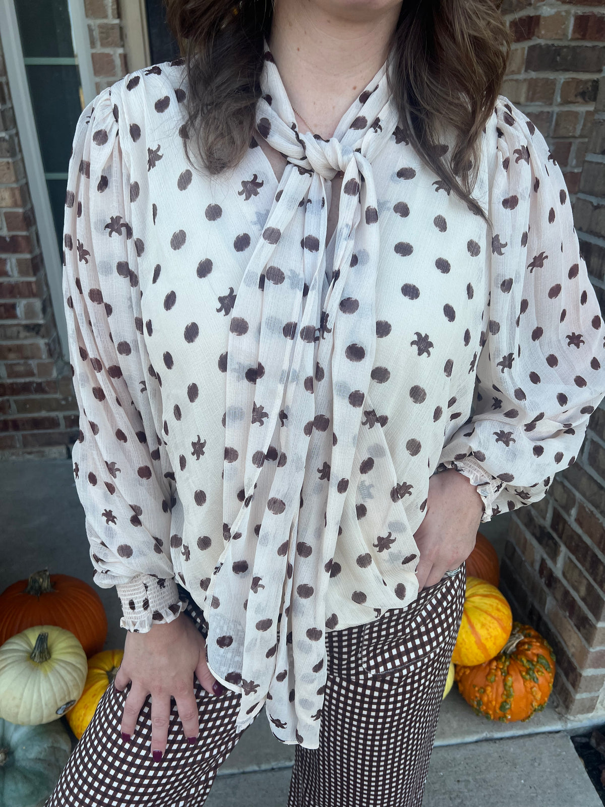 Entro Long Sleeve Chiffon Top